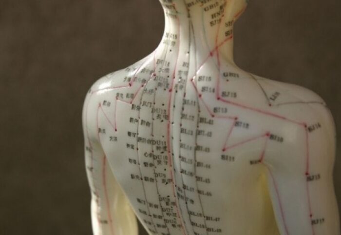 Карта энергетических меридианов на теле человека: схема и направления