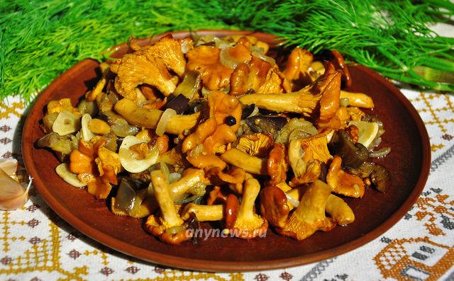 Как готовить жареные грибы лисички на сковороде? Пошаговый рецепт