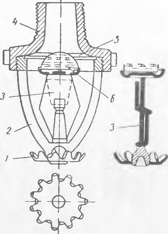 Cap sprinkler