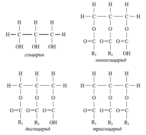 Diagrama schematică a structurii moleculelor de glicerol și gliceride 