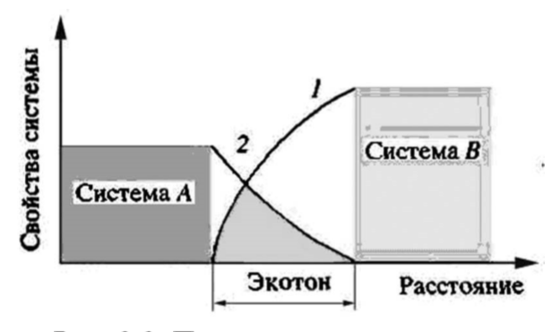 Принципиальная схема формирования зоны перехода свойств (экотона) на контакте двух различных систем