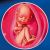 34 неделя формирования эмбриона