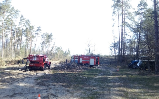 Пожарные провели учения в Добрушском лесничестве