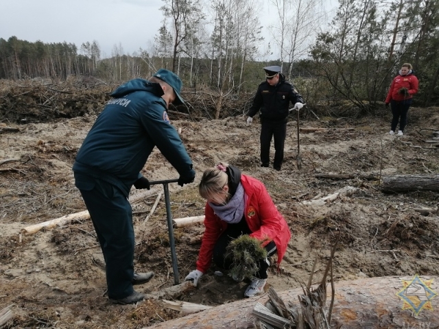Каменецкие спасатели приняли участие в акции «Неделя леса»