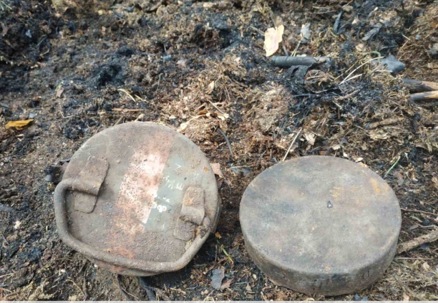 В Жлобинском районе на месте лесного пожара обнаружен арсенал времен ВОВ