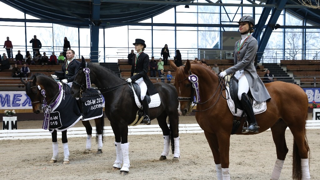 Могилевчанка заняла второе место на первенстве Беларуси по конному спорту