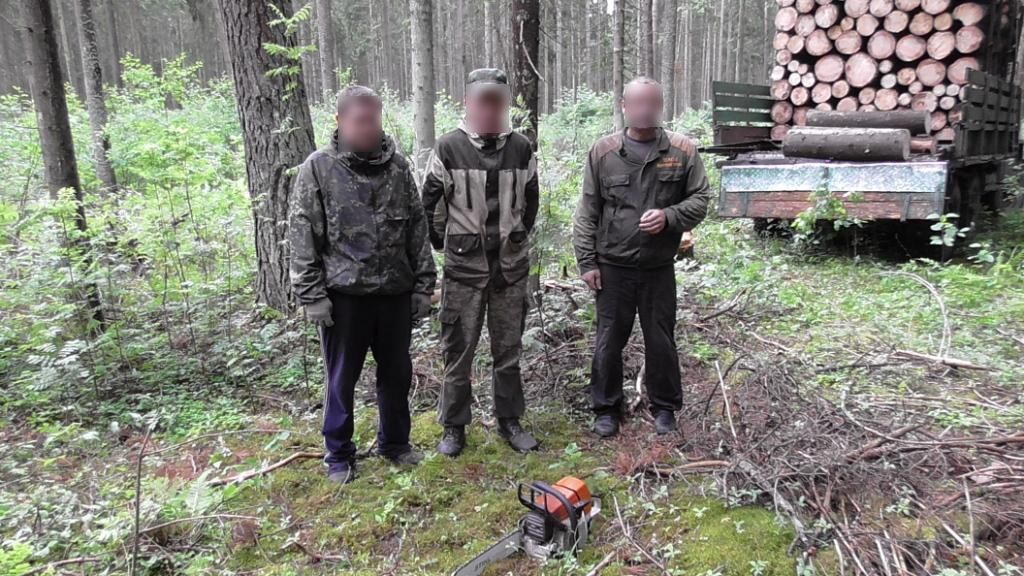 В Борисовском районе задержали злостных расхитителей леса