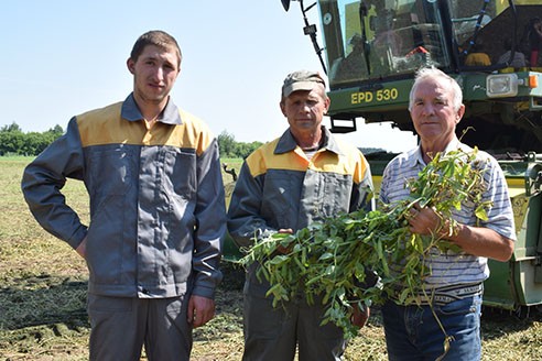 Быховский завод побил мировой рекорд по сбору урожая горошка