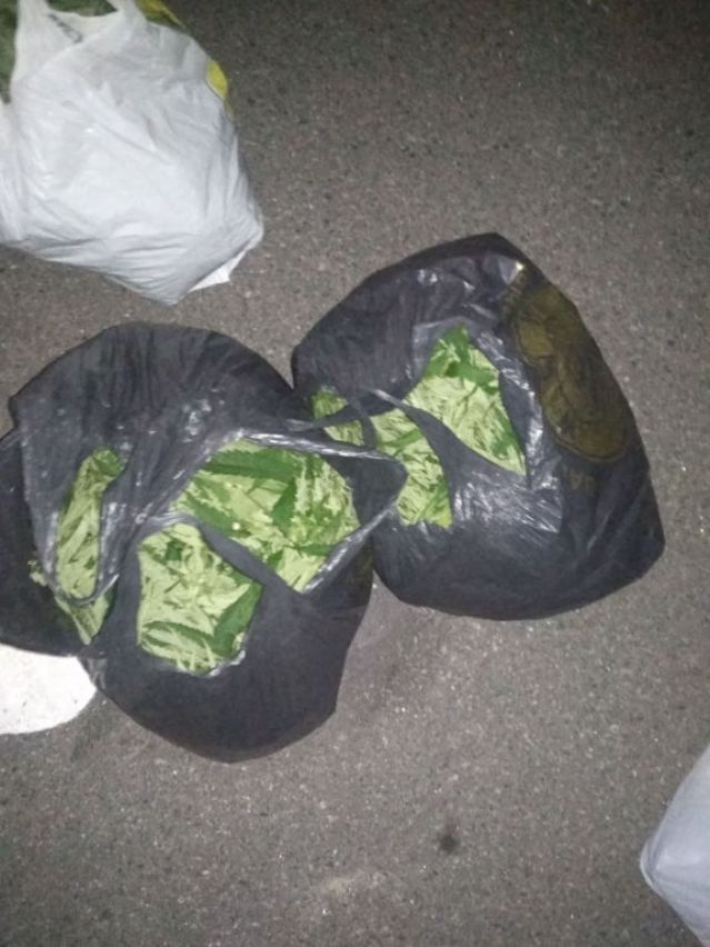 В Чечерском районе задержали пятерых гомельчан с марихуаной