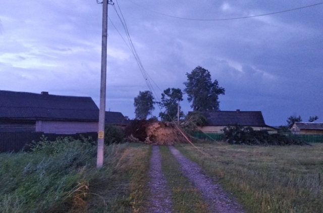 Последствия прохождения грозового фронта в Калинковичском районе