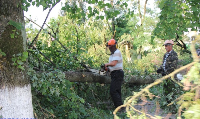 В Малоритском районе ликвидируют последствия недавнего урагана
