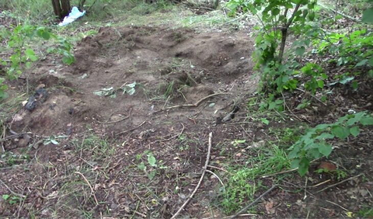 Мужчина убил и закопал своего приятеля в лесу Лунинецкого района