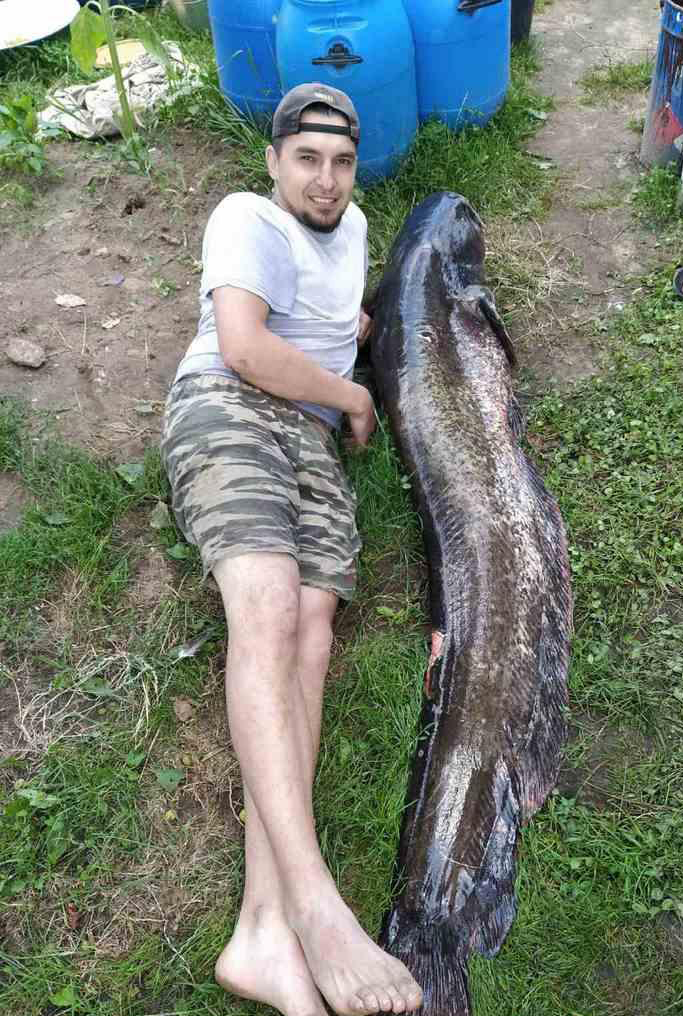 42-килограммового сома поймали рыбаки на Щаре