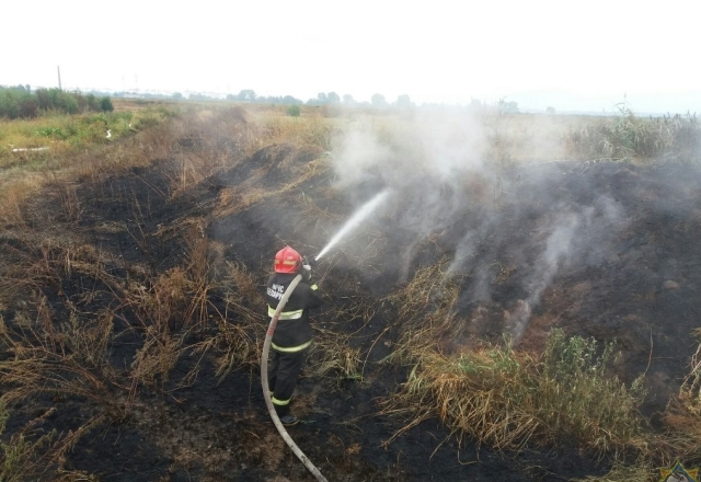 Барановичские пожарные отстояли садовое товарищество