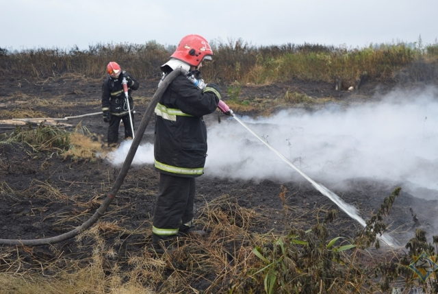 Барановичские пожарные отстояли садовое товарищество