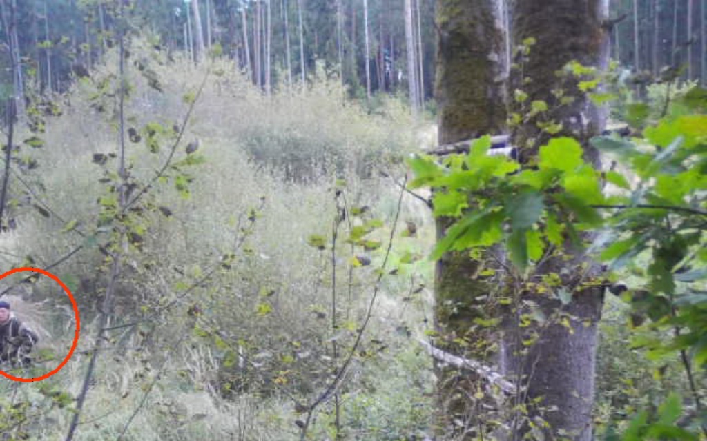 В Белыничском лесу охотник украл фотоловушку