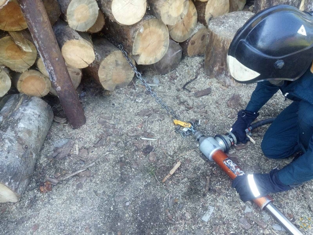 Добруш: работники МЧС спасли упавшего в штабель дров щенка