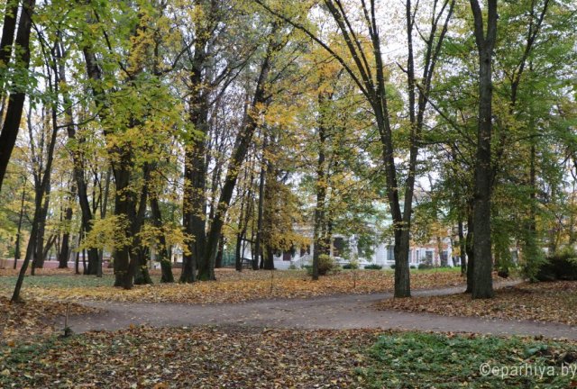 В усадьбе Козел-Поклевских в Красном Береге возродили парк XIX века
