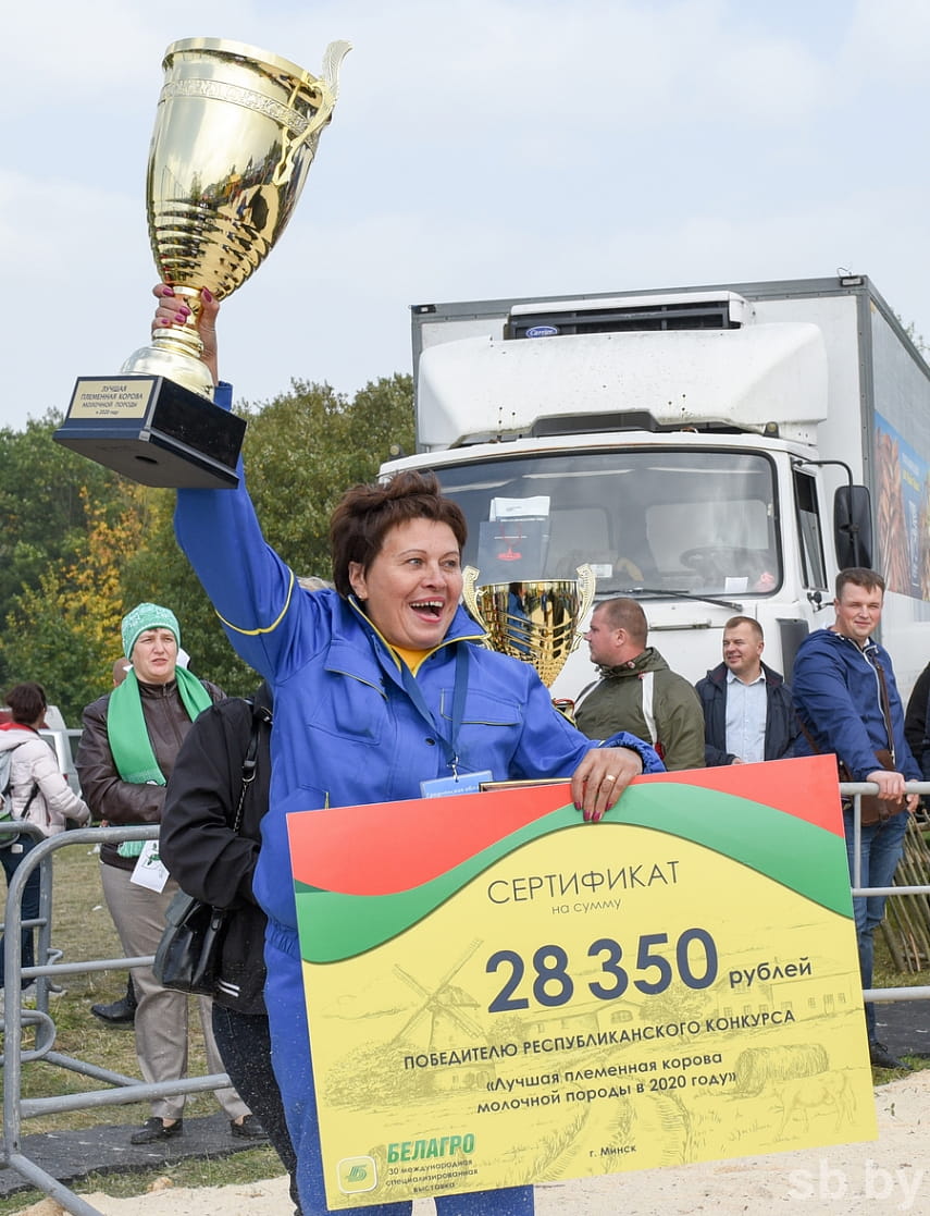 Аврора из СПК «Свислочь» стала лучшей коровой Беларуси