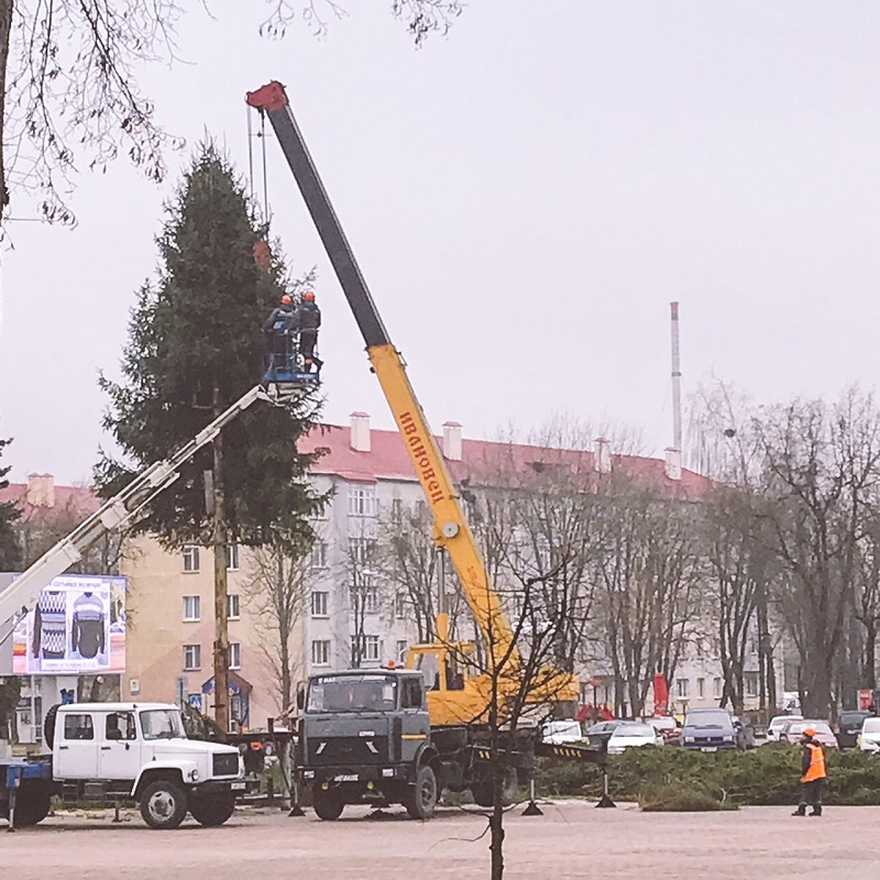 В городах Гродненской области устанавливают новогодние елки