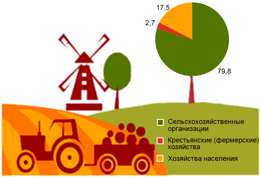 Более четверти белорусских сельскохозяйственных организаций работают на Минщине