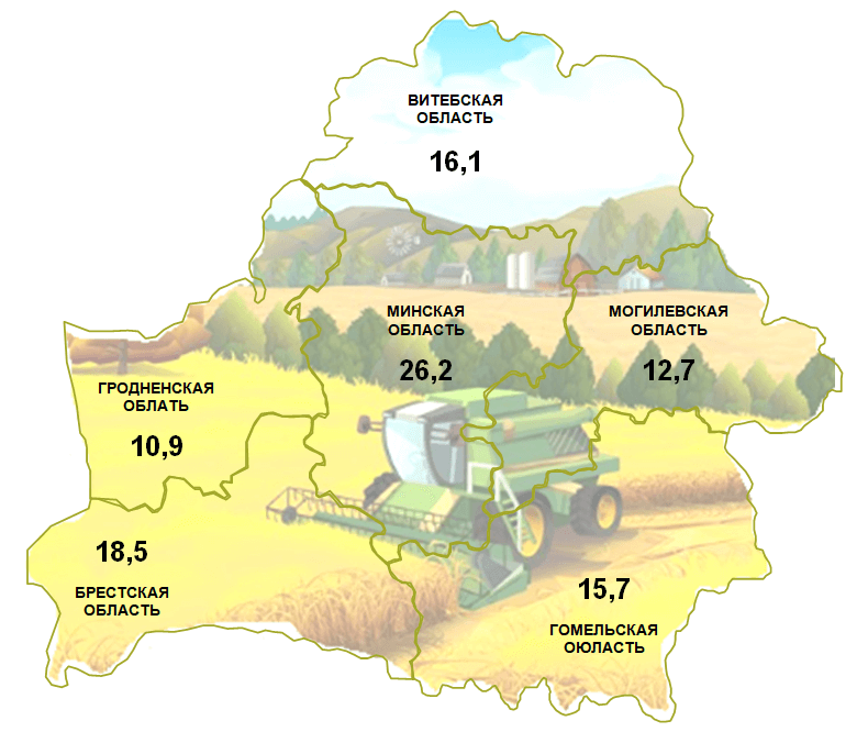 Более четверти белорусских сельскохозяйственных организаций работают на Минщине