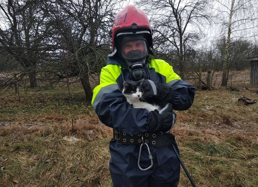 В Ивановском районе спасали кота, который оказался в колодце
