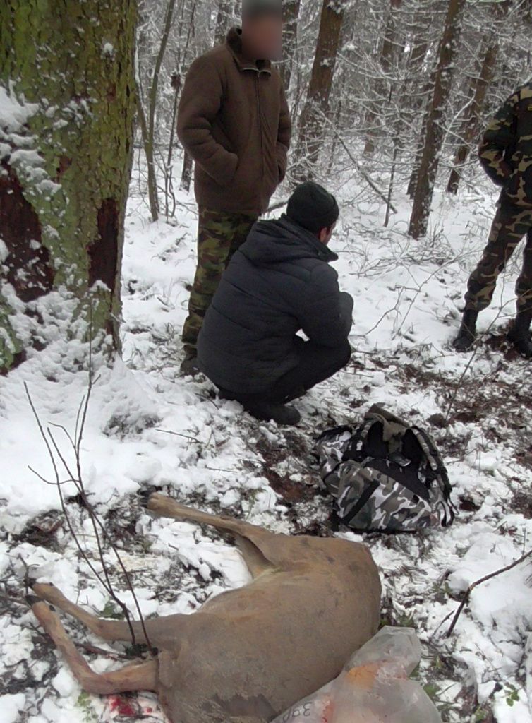 В Столбцовском районе задержали браконьеров с тушей косули