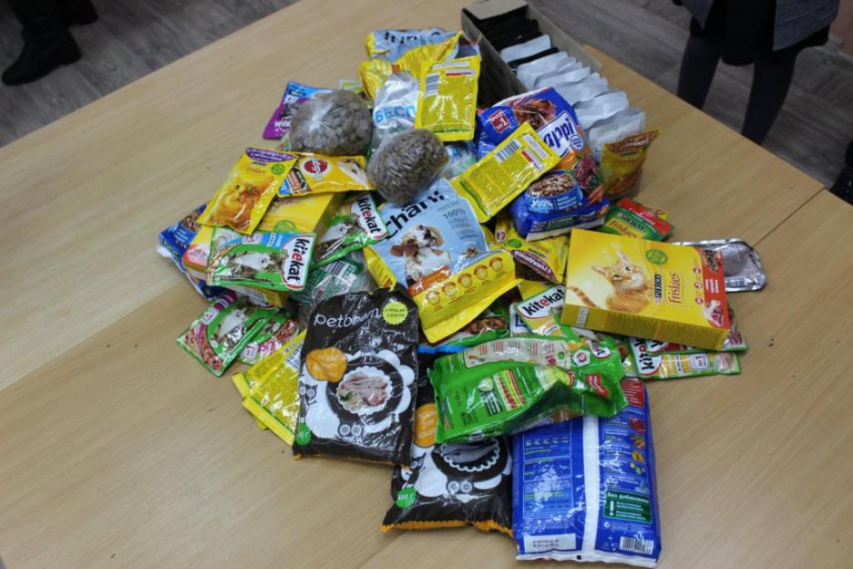 Могилевские первоклассники собрали 20 кг корма для бездомных животных