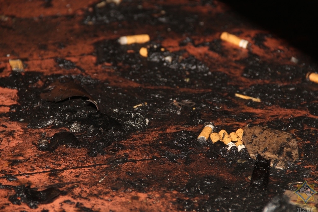 На пожаре в Гомеле огнеборцы спасли хозяина дома
