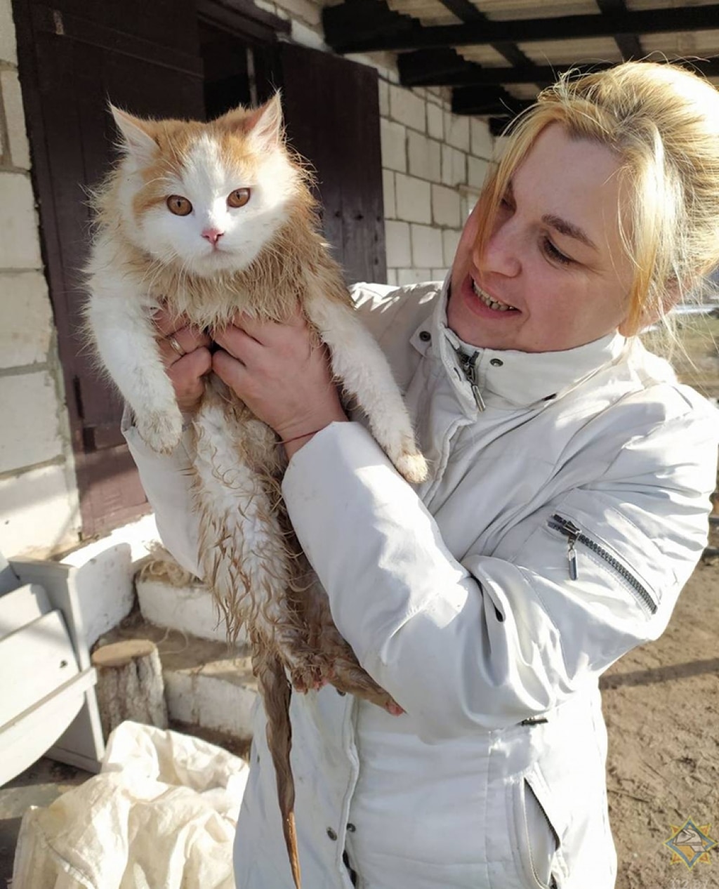 В Первомайске кошка упала в 15-метровый колодец, спасатели пришли на помощь