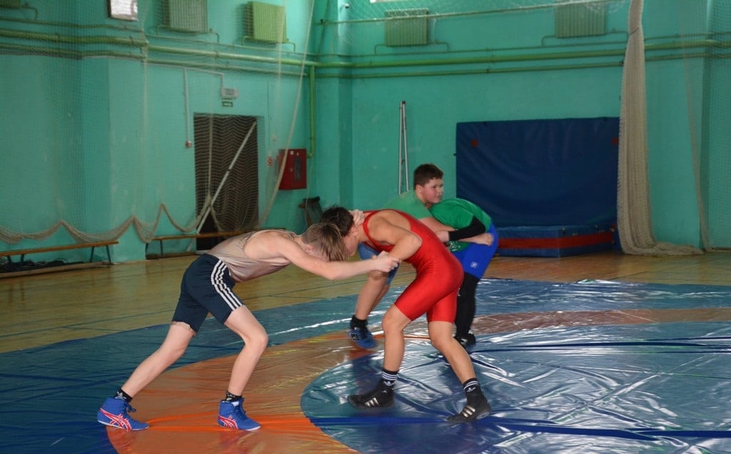 В Кричеве прошел учебно-тренировочный сбор по вольной борьбе