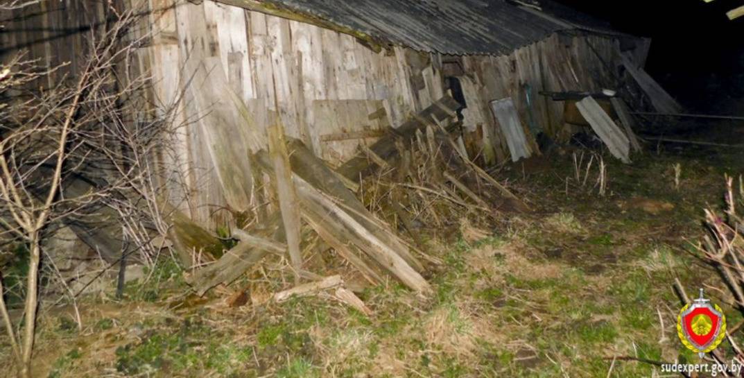 В Шкловском районе дачник пытался поджечь дом соседки