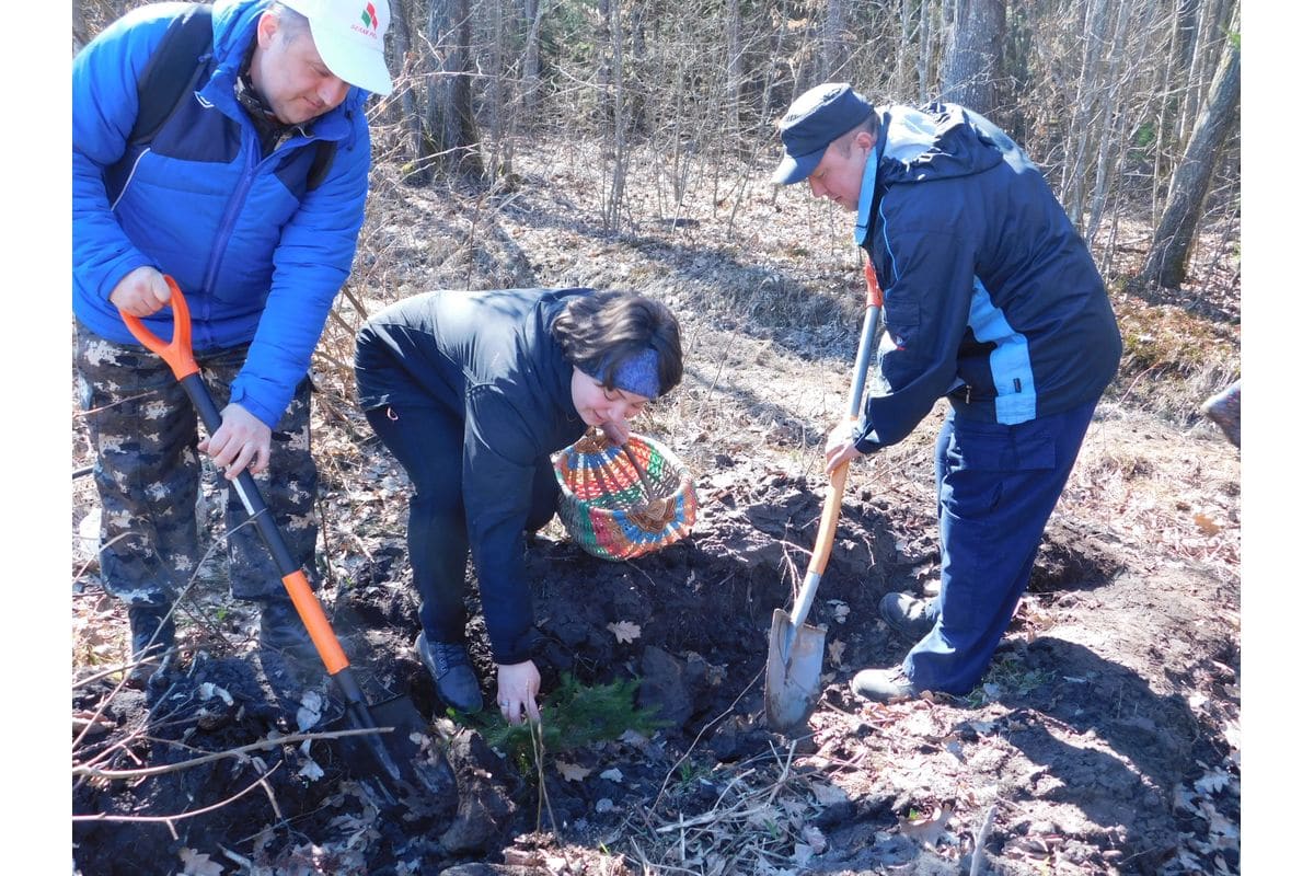 В Ивановском районе стартовала "Неделя леса"