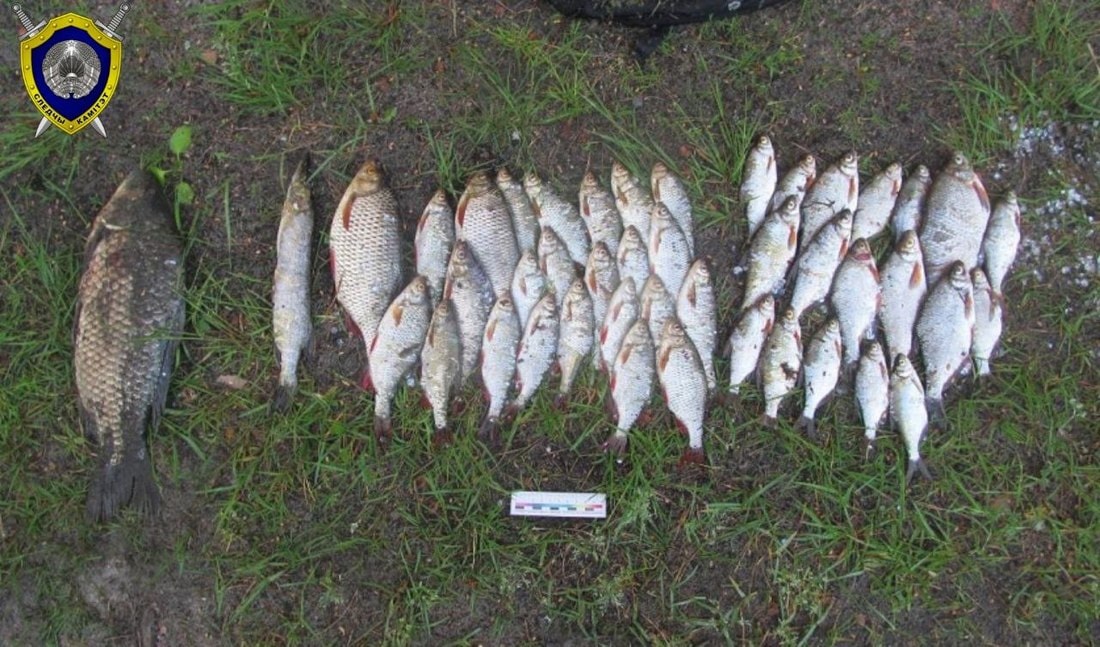 В Чашникском районе браконьеры наловили рыбы на 8 тысяч рублей