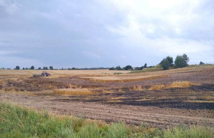 Дзержинский район: пожарные успели быстро потушить пшеничное поле