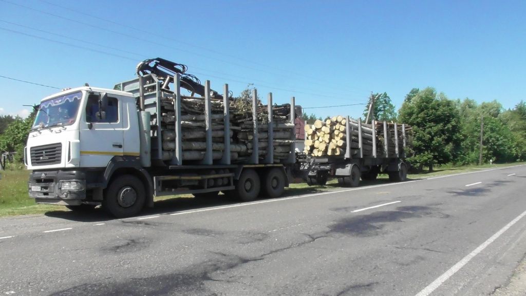 В Лунинецком районе задержали лесовоз с грузом без сопроводительных документов