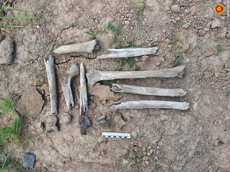В агрогородке Копти найдены человеческие останки