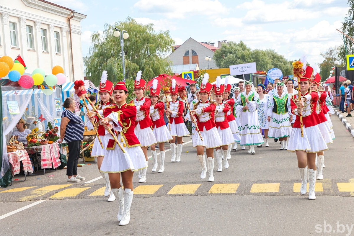 В Дрибине состоялся фестиваль «Дрибинские торжки»