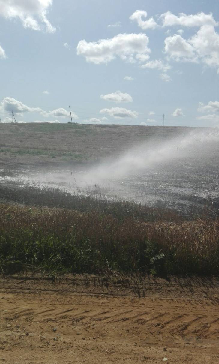 В Дзержинском районе от огня спасено 70 га урожая