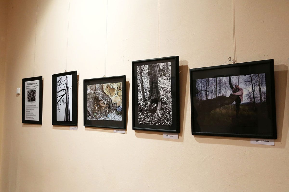 В Могилеве открылась выставка «Сага о деревьях»