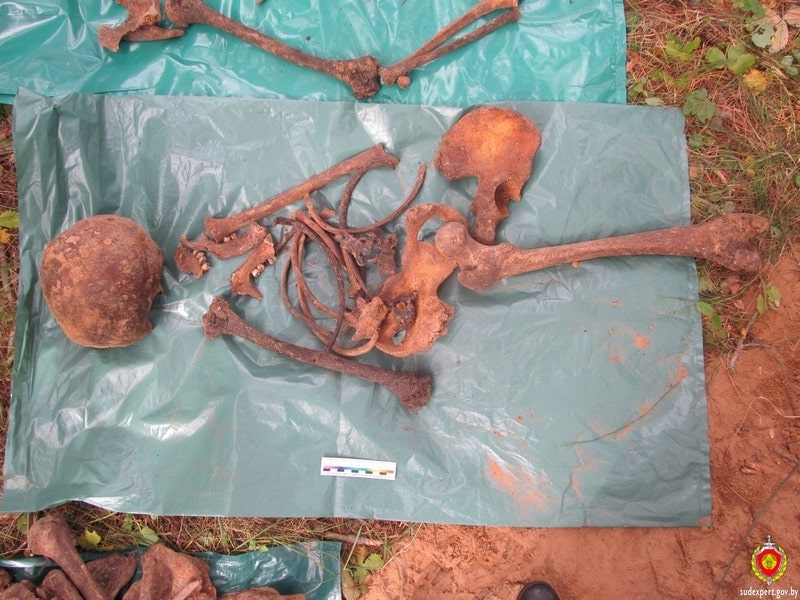 В Бешенковичском районе обнаружены человеческие останки