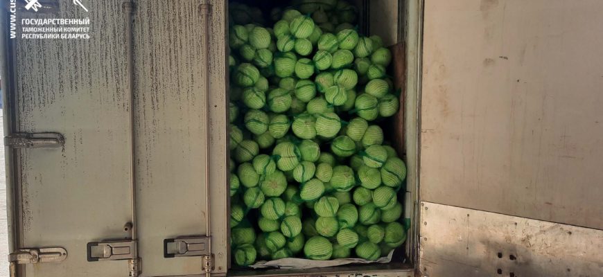 За неделю белорусские таможенники пресекли пять попыток вывоза из Беларуси порядка 95 тонн свежей капусты без необходимых лицензий