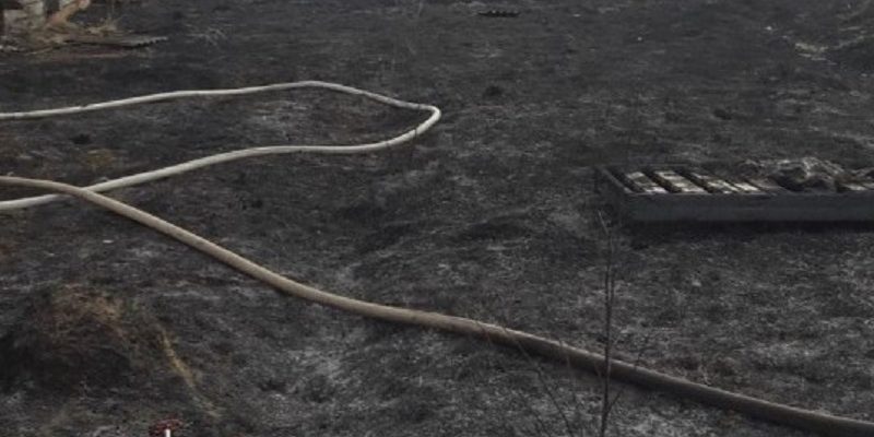 в Петриковском районе на пожаре сухой растительности работники МЧС обнаружили обгоревшее тело 87-летней пенсионерки