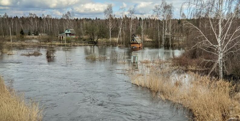 В Бобруйском районе река Волчанка затопила дачные участки