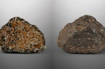 На аукционе Sotheby’s американский коллекционер выставил метеорит весом 2,6 килограмм, найденный в Брагинском районе