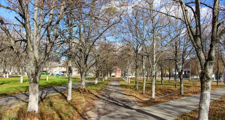 В Светлогорске появится «Парк выпускников»