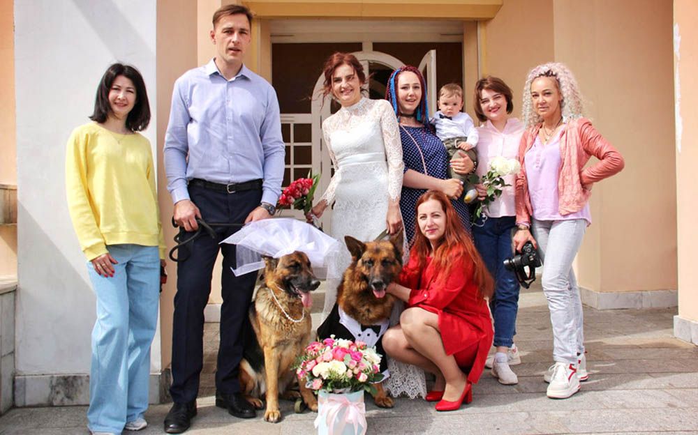 В Бресткой области на одной из свадеб в роли свидетелей выступили овчарки