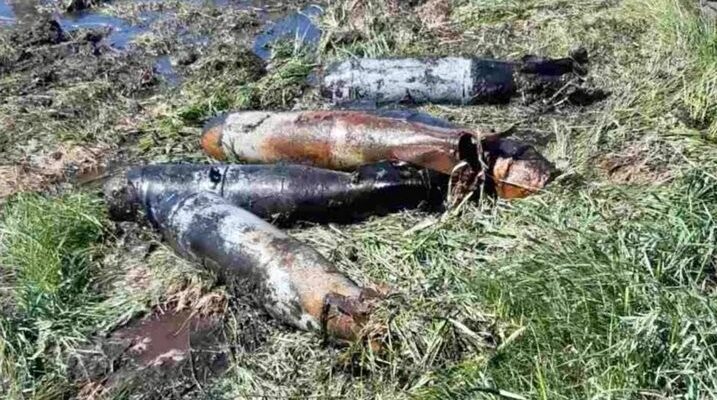 В Брестской области обнаружены авиационные снаряды