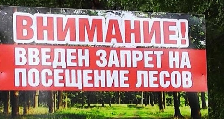 Запрет на посещение лесов введен в 16 районах Гомельской области